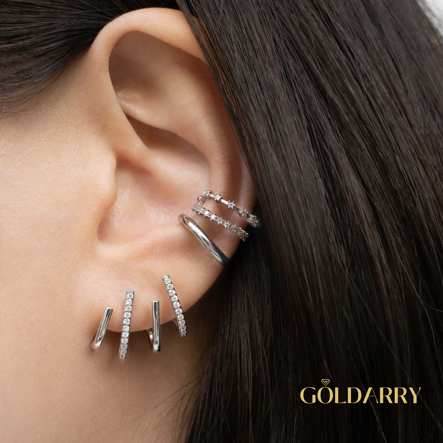 Griffe Earrings