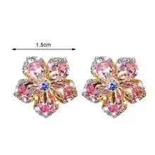 SPARKLING RAINBOW SILVER EARRINGS